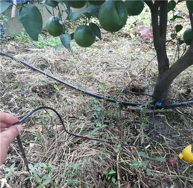 柑橘(ju)水肥一(yi)體化(hua),水肥(fei)一體(ti)化(hua)技術,水(shui)肥(fei)一體(ti)化(hua)