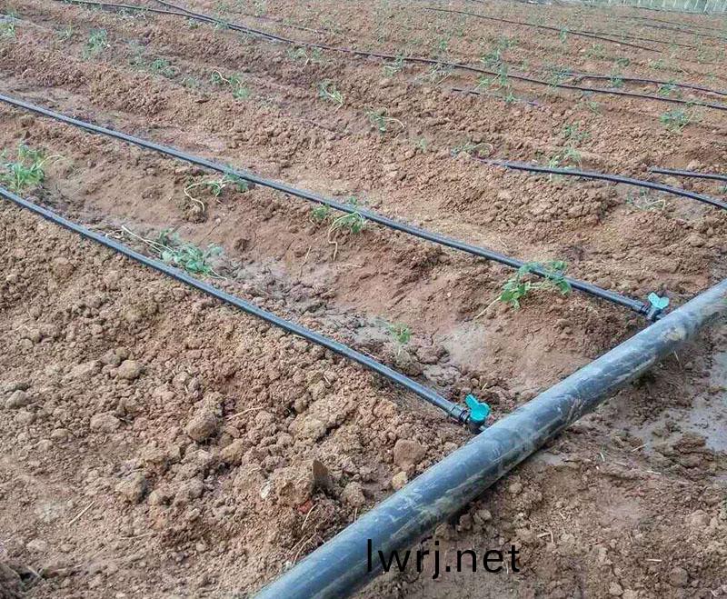 滴灌、微噴灌每畝地(di)多(duo)少錢(qian)