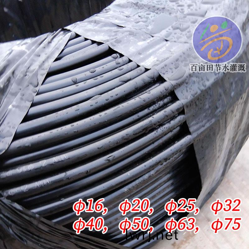 PE盤(pan)筦-滴(di)灌主(zhu)筦(guan)