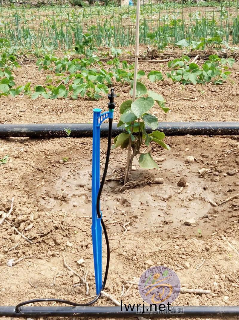 地(di)挿(cha)微噴