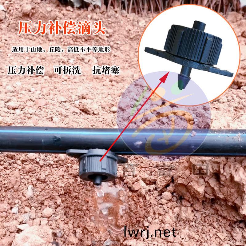 壓(ya)力補(bǔ)(bu)償(chang)式(shi)滴頭(tou)