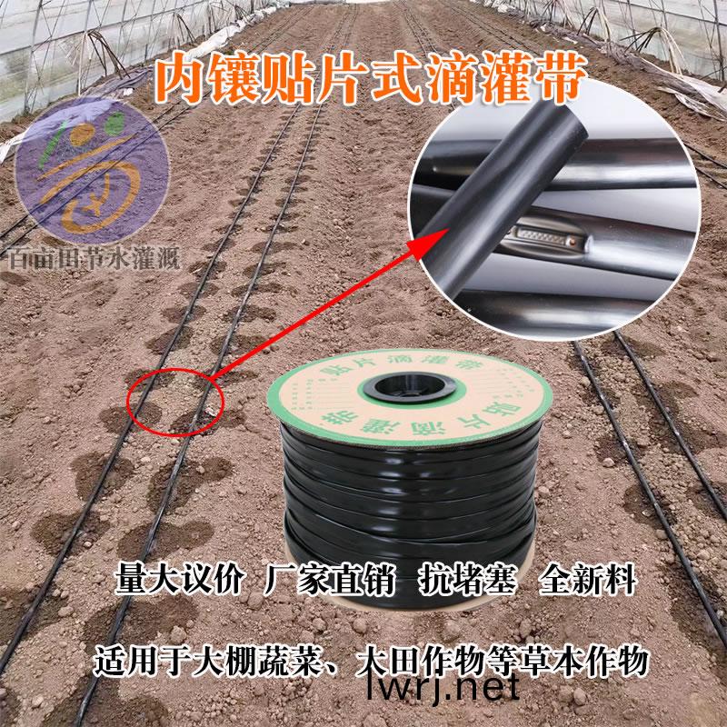 貼片(pian)式(shi)滴灌(guan)帶