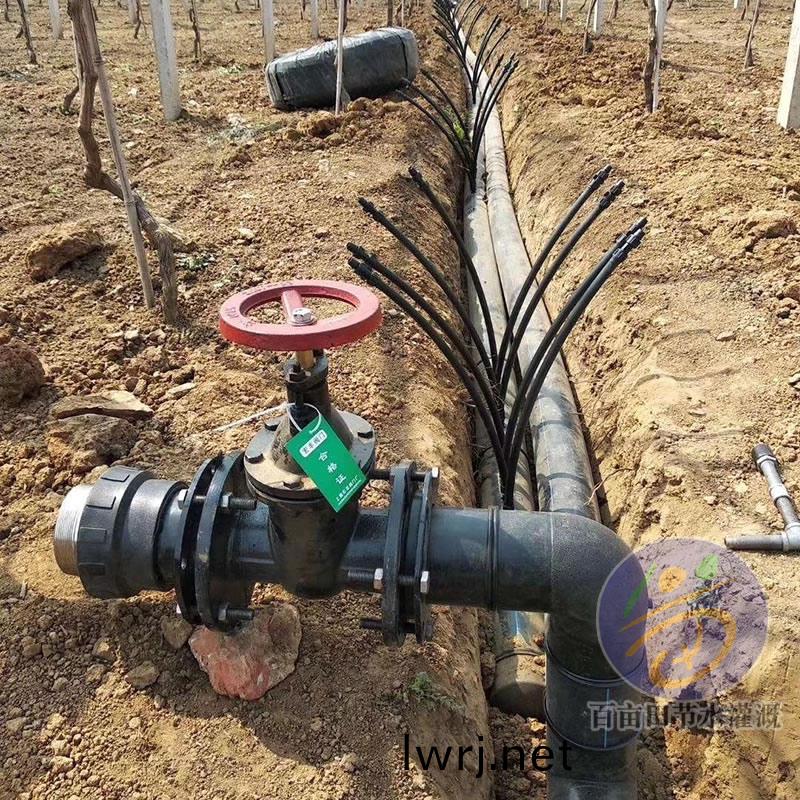 滴灌主筦安裝