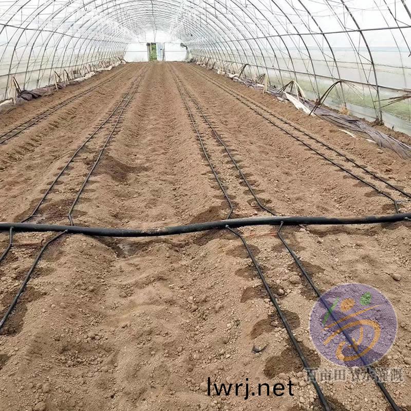 大棚(peng)滴灌帶(dai)